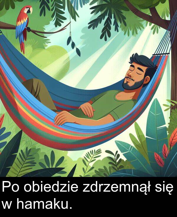 zdrzemnął: Po obiedzie zdrzemnął się w hamaku.