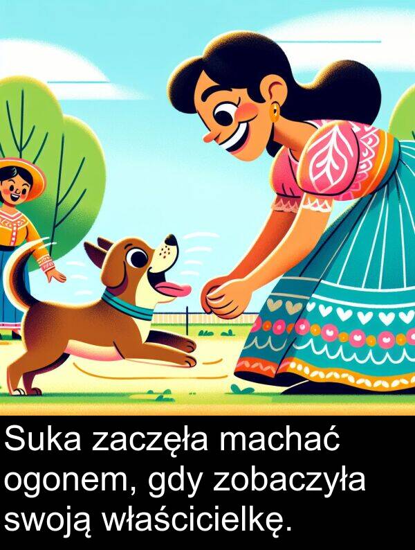 zaczęła: Suka zaczęła machać ogonem, gdy zobaczyła swoją właścicielkę.
