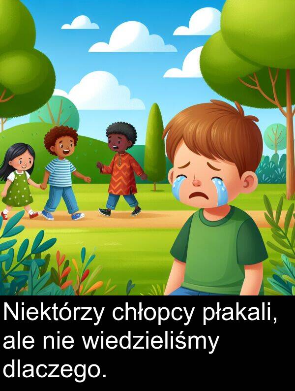 płakali: Niektórzy chłopcy płakali, ale nie wiedzieliśmy dlaczego.