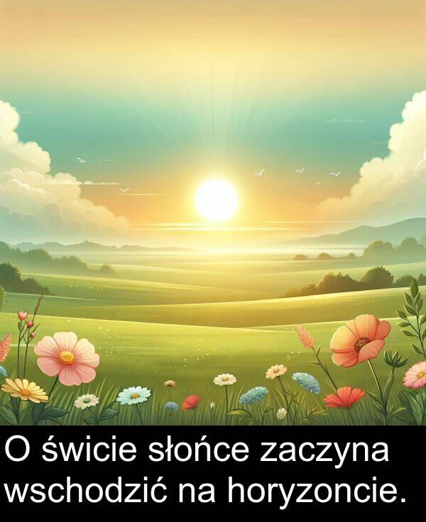 zaczyna: O świcie słońce zaczyna wschodzić na horyzoncie.