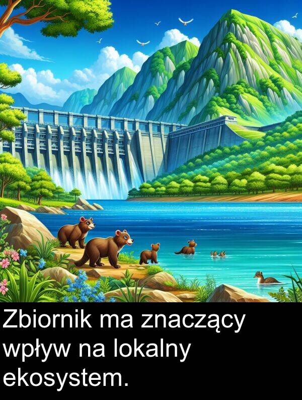 znaczący: Zbiornik ma znaczący wpływ na lokalny ekosystem.