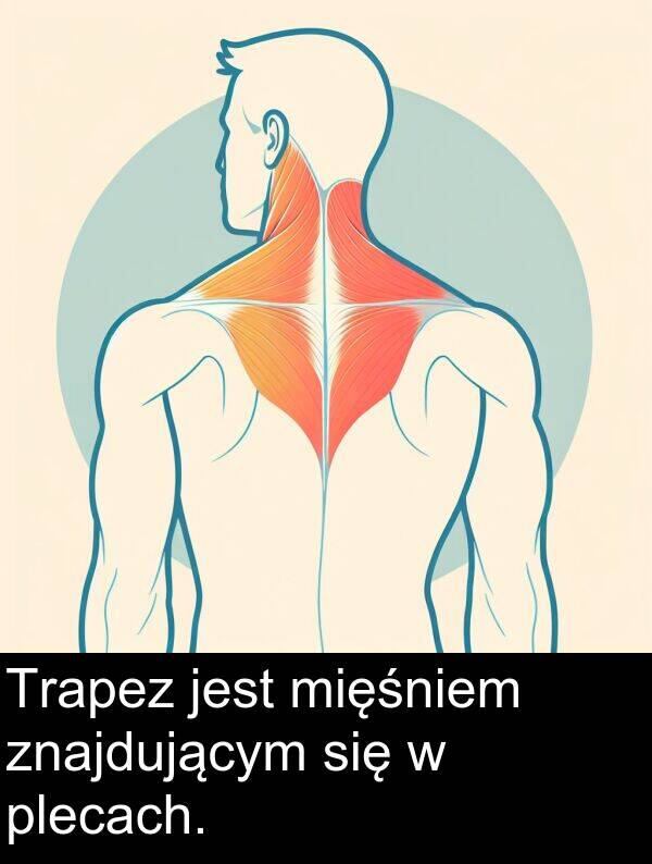 znajdującym: Trapez jest mięśniem znajdującym się w plecach.