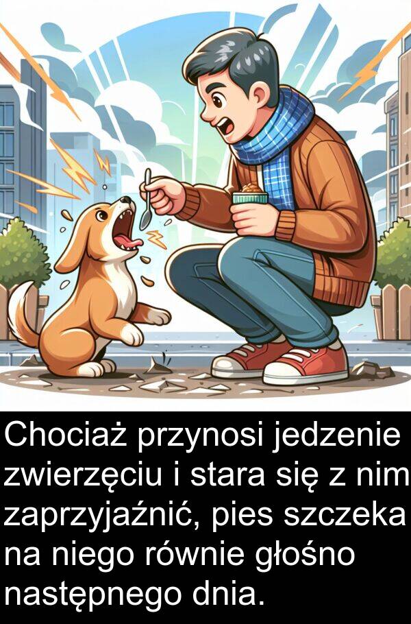 pies: Chociaż przynosi jedzenie zwierzęciu i stara się z nim zaprzyjaźnić, pies szczeka na niego równie głośno następnego dnia.