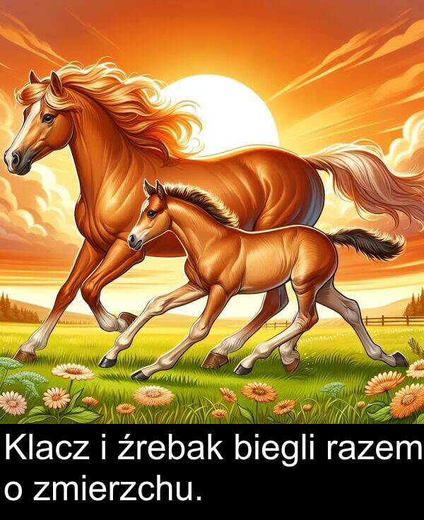 zmierzchu: Klacz i źrebak biegli razem o zmierzchu.