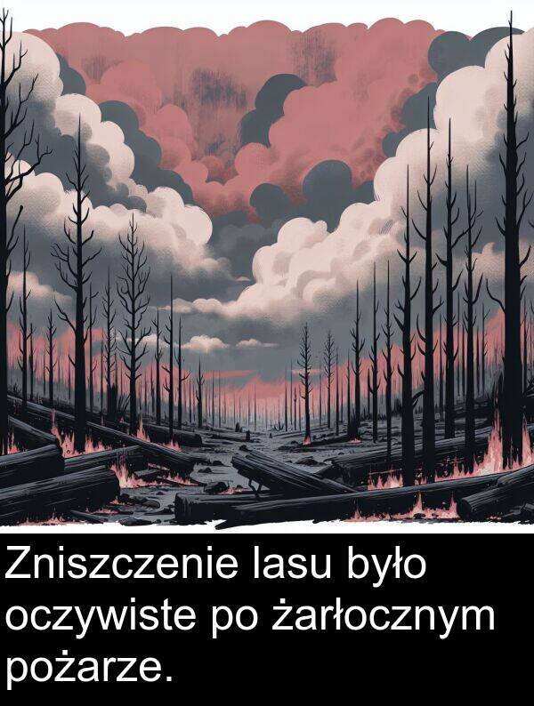 pożarze: Zniszczenie lasu było oczywiste po żarłocznym pożarze.