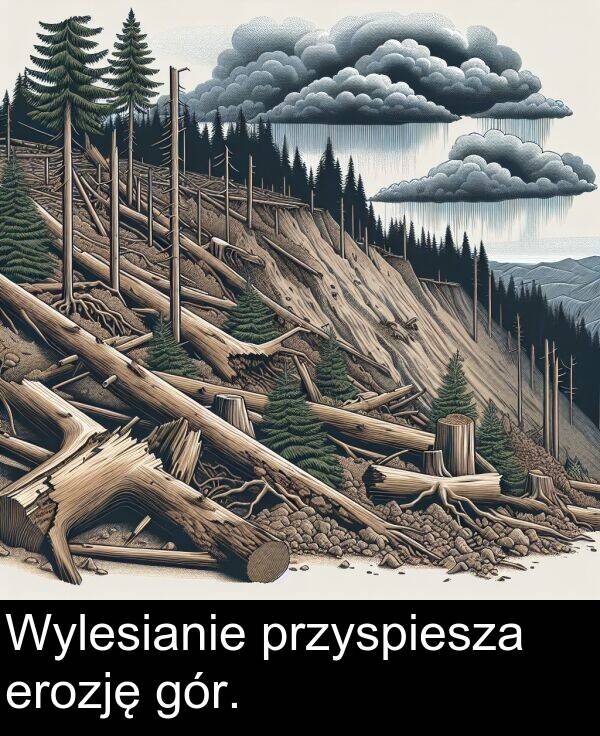 przyspiesza: Wylesianie przyspiesza erozję gór.