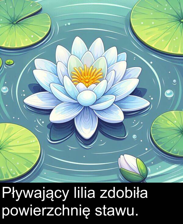 powierzchnię: Pływający lilia zdobiła powierzchnię stawu.