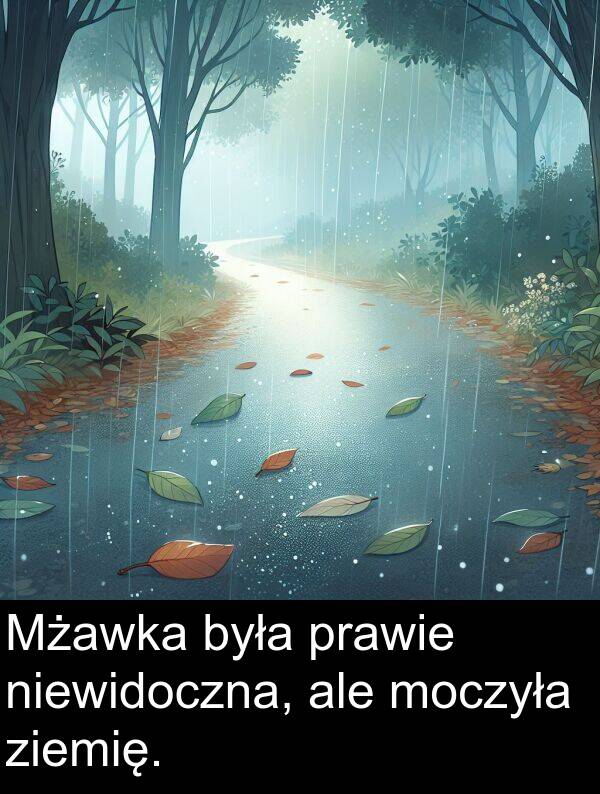 ziemię: Mżawka była prawie niewidoczna, ale moczyła ziemię.
