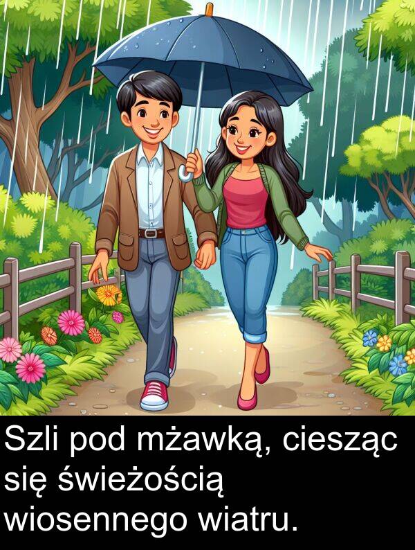 wiatru: Szli pod mżawką, ciesząc się świeżością wiosennego wiatru.