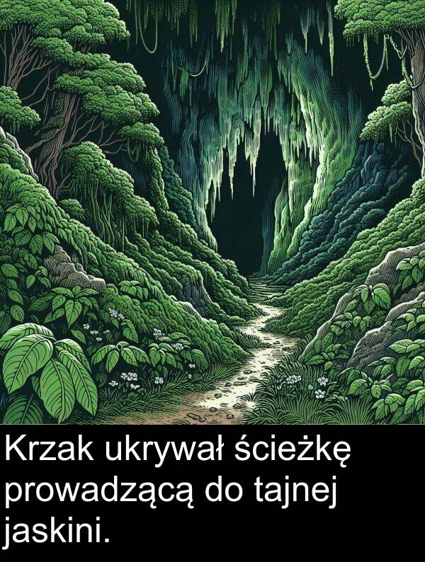prowadzącą: Krzak ukrywał ścieżkę prowadzącą do tajnej jaskini.