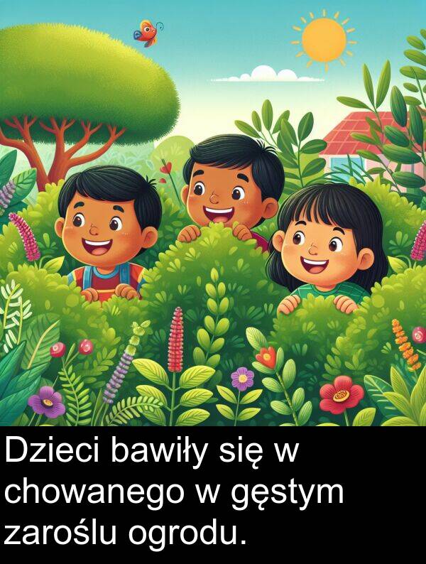 gęstym: Dzieci bawiły się w chowanego w gęstym zaroślu ogrodu.