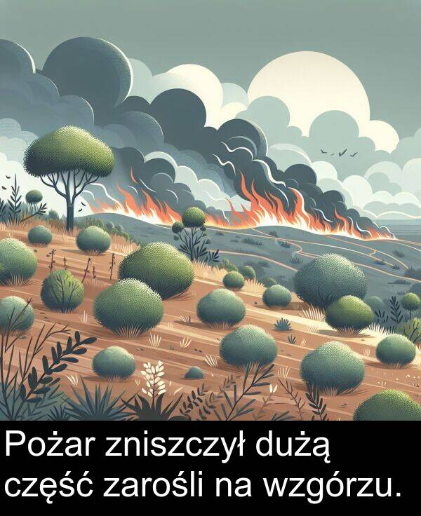 zniszczył: Pożar zniszczył dużą część zarośli na wzgórzu.