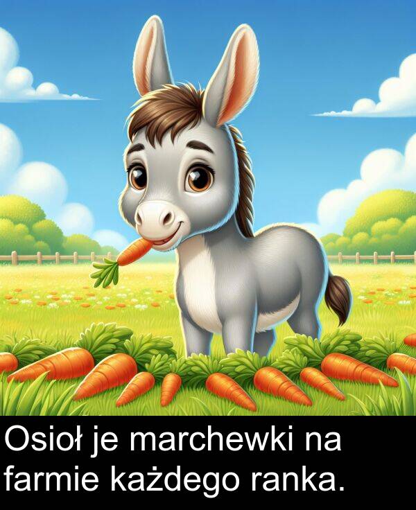 marchewki: Osioł je marchewki na farmie każdego ranka.