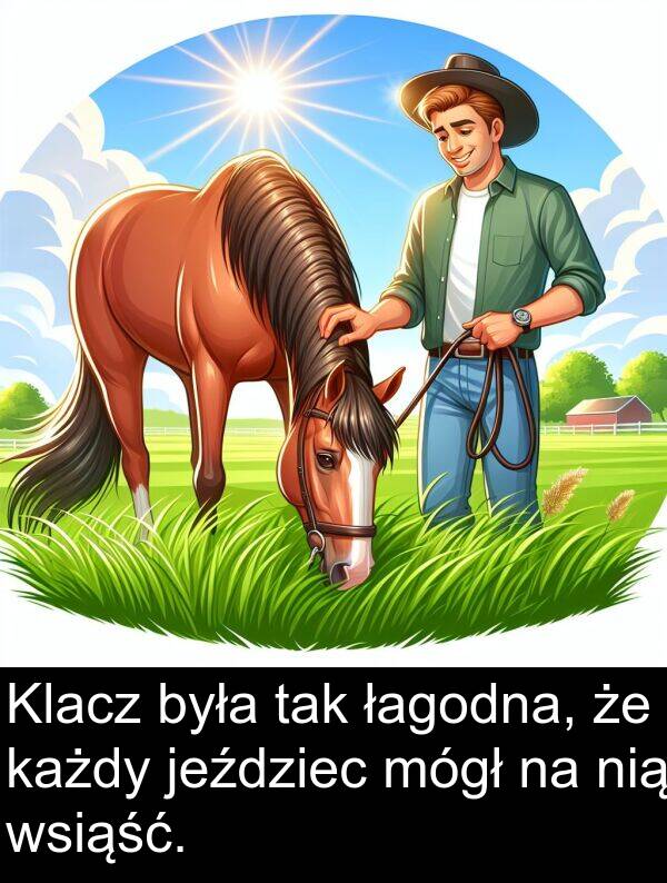 wsiąść: Klacz była tak łagodna, że każdy jeździec mógł na nią wsiąść.