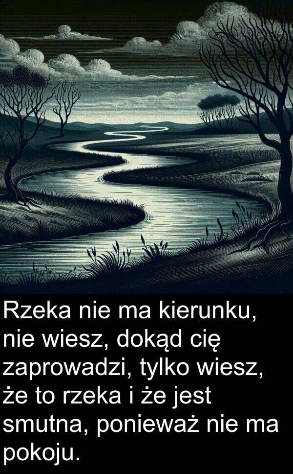 wiesz: Rzeka nie ma kierunku, nie wiesz, dokąd cię zaprowadzi, tylko wiesz, że to rzeka i że jest smutna, ponieważ nie ma pokoju.
