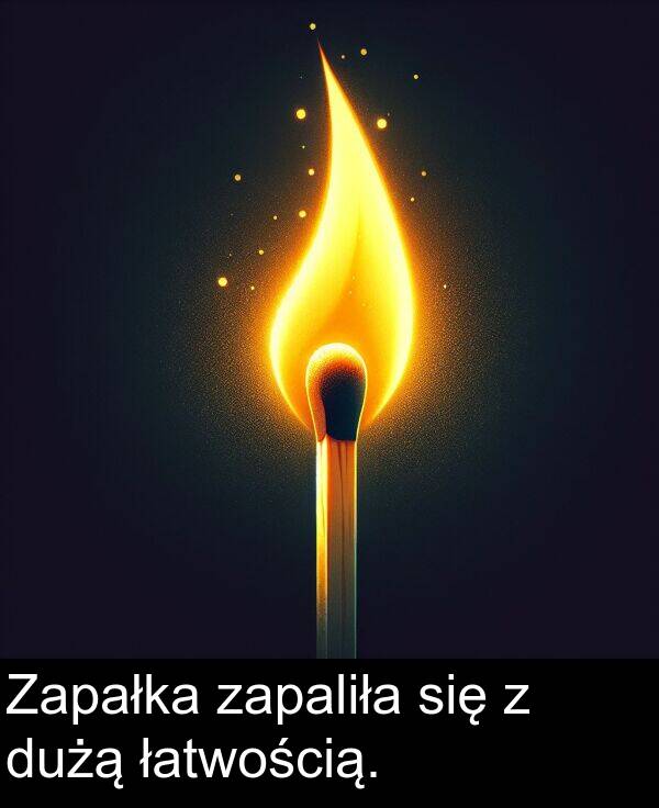 łatwością: Zapałka zapaliła się z dużą łatwością.