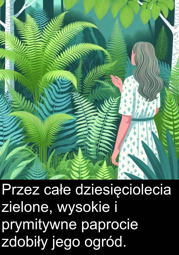 paprocie: Przez całe dziesięciolecia zielone, wysokie i prymitywne paprocie zdobiły jego ogród.