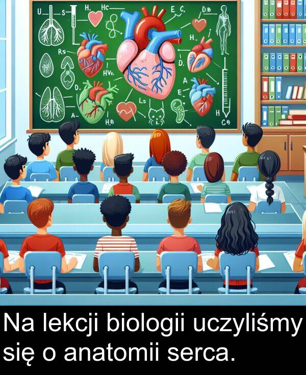 lekcji: Na lekcji biologii uczyliśmy się o anatomii serca.