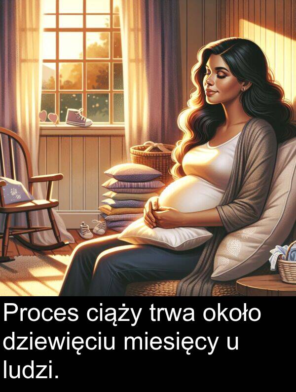 około: Proces ciąży trwa około dziewięciu miesięcy u ludzi.