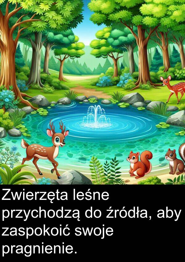 przychodzą: Zwierzęta leśne przychodzą do źródła, aby zaspokoić swoje pragnienie.