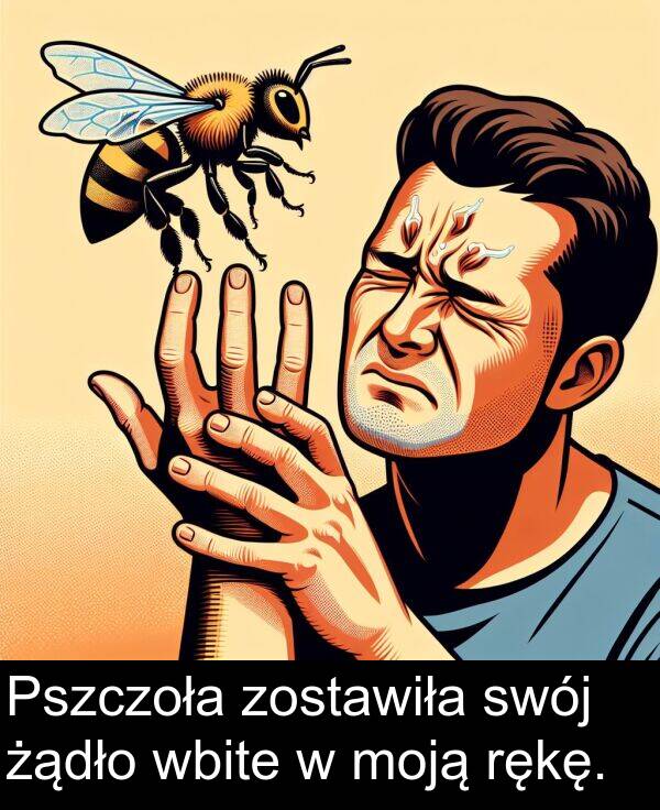 zostawiła: Pszczoła zostawiła swój żądło wbite w moją rękę.