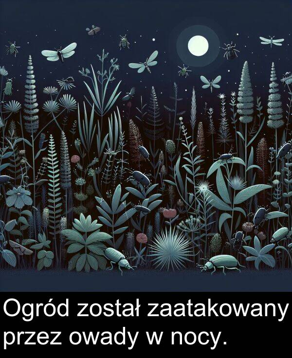 został: Ogród został zaatakowany przez owady w nocy.