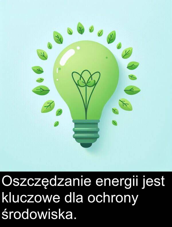 energii: Oszczędzanie energii jest kluczowe dla ochrony środowiska.