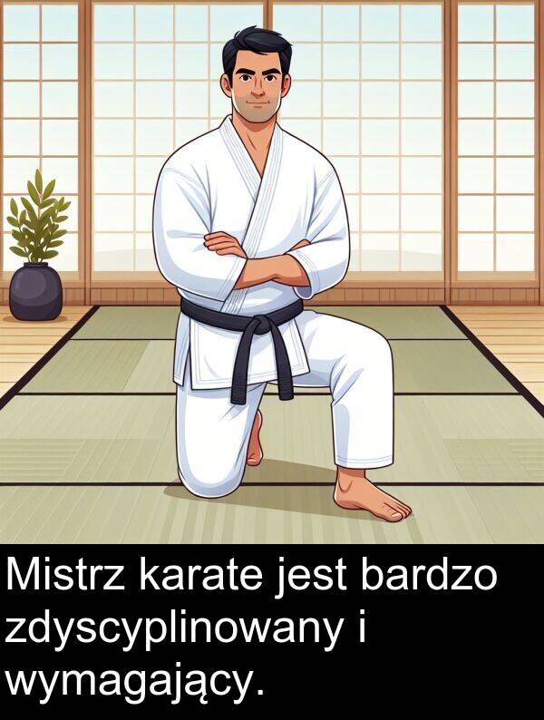 zdyscyplinowany: Mistrz karate jest bardzo zdyscyplinowany i wymagający.