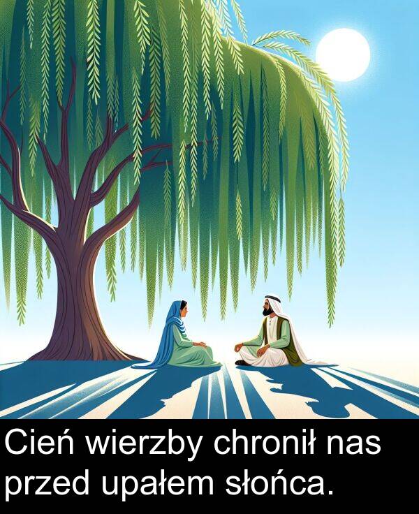 przed: Cień wierzby chronił nas przed upałem słońca.