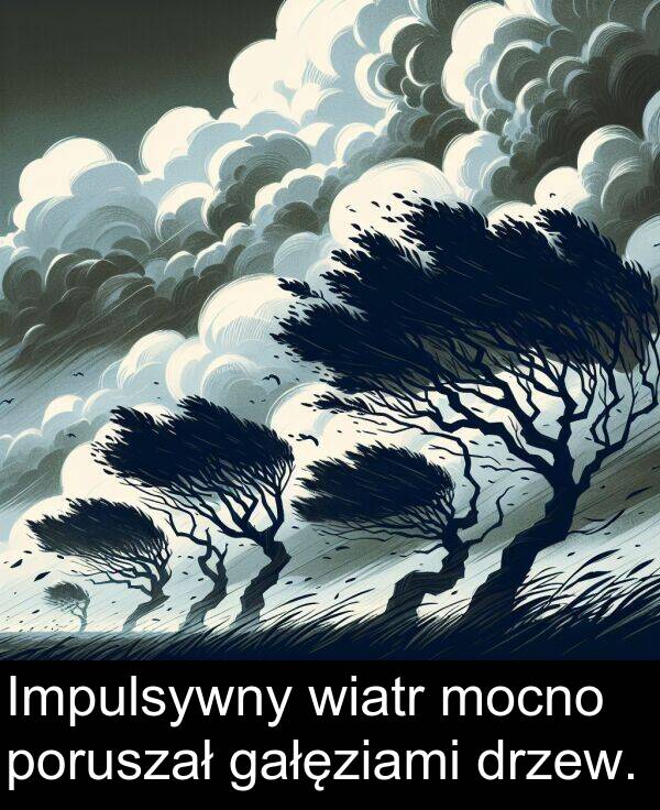 wiatr: Impulsywny wiatr mocno poruszał gałęziami drzew.