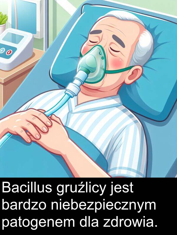 zdrowia: Bacillus gruźlicy jest bardzo niebezpiecznym patogenem dla zdrowia.