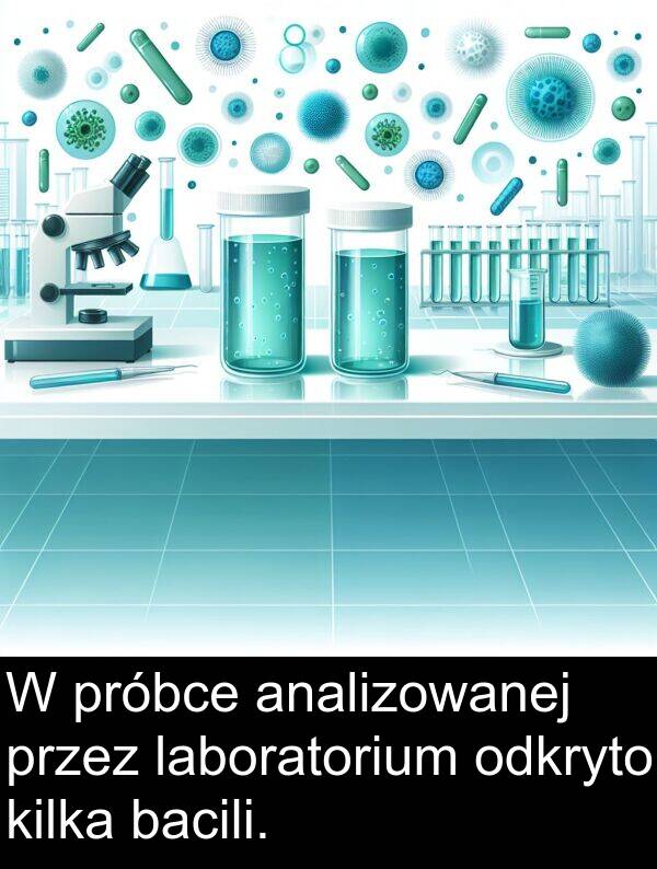 próbce: W próbce analizowanej przez laboratorium odkryto kilka bacili.