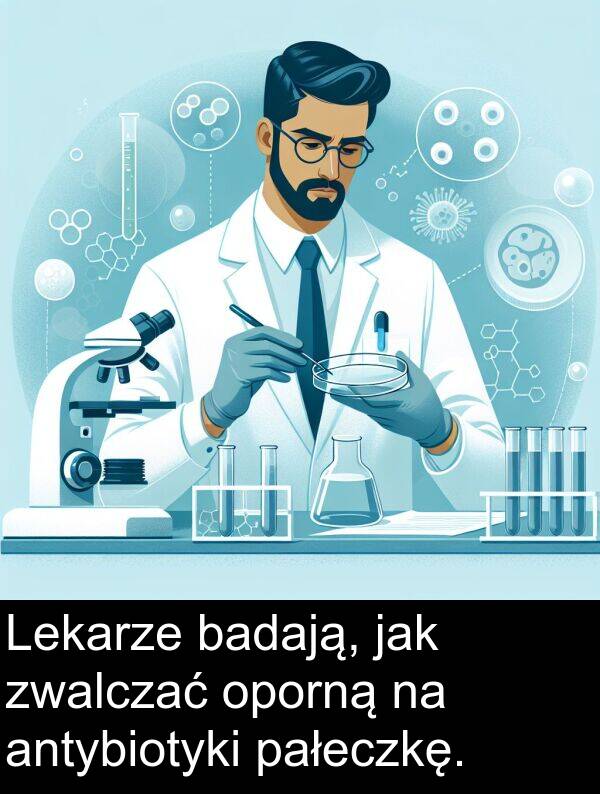 zwalczać: Lekarze badają, jak zwalczać oporną na antybiotyki pałeczkę.