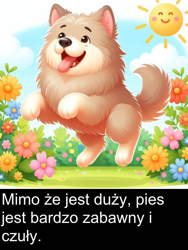 pies: Mimo że jest duży, pies jest bardzo zabawny i czuły.