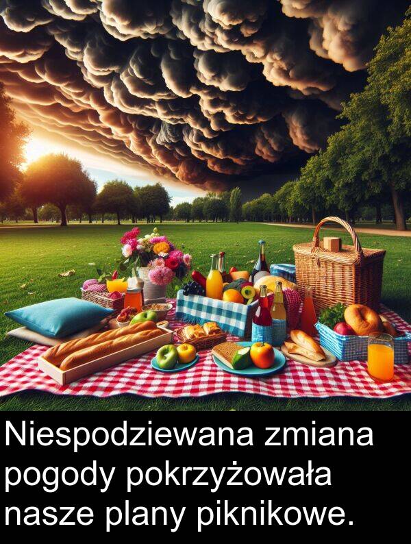 piknikowe: Niespodziewana zmiana pogody pokrzyżowała nasze plany piknikowe.