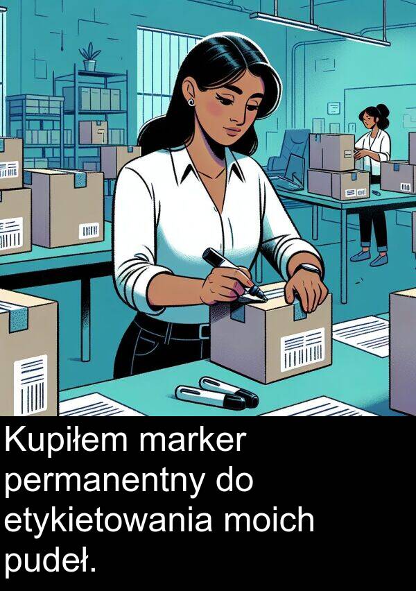 pudeł: Kupiłem marker permanentny do etykietowania moich pudeł.