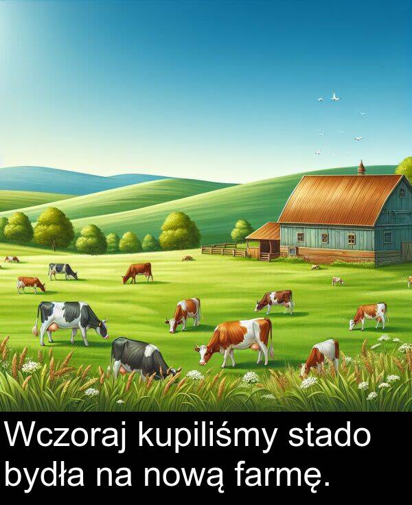 farmę: Wczoraj kupiliśmy stado bydła na nową farmę.
