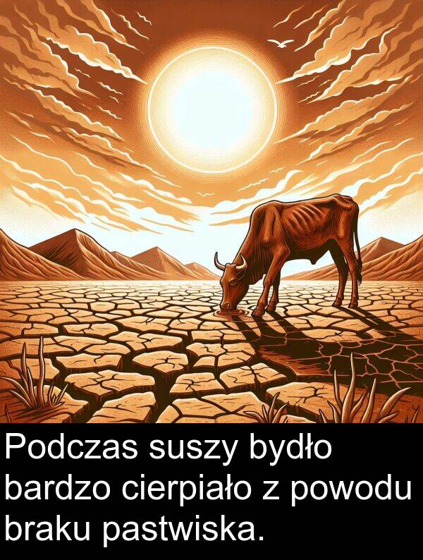 powodu: Podczas suszy bydło bardzo cierpiało z powodu braku pastwiska.