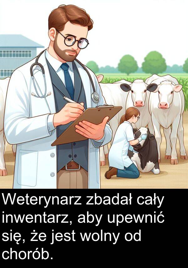 zbadał: Weterynarz zbadał cały inwentarz, aby upewnić się, że jest wolny od chorób.