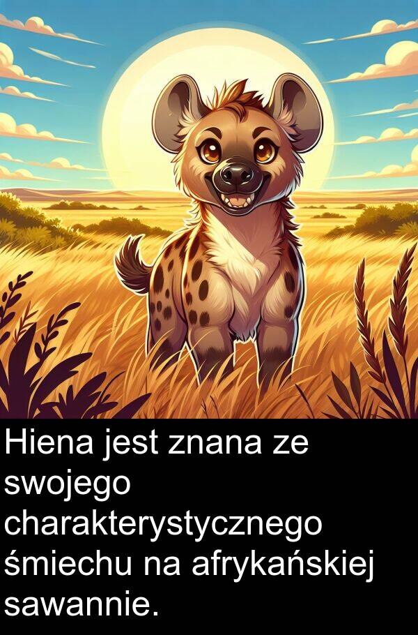 znana: Hiena jest znana ze swojego charakterystycznego śmiechu na afrykańskiej sawannie.