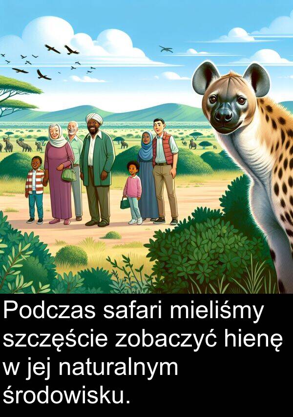 zobaczyć: Podczas safari mieliśmy szczęście zobaczyć hienę w jej naturalnym środowisku.