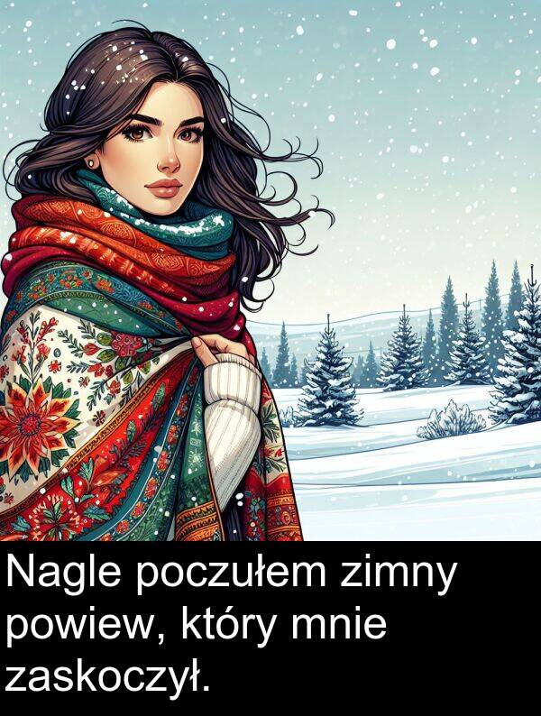 zimny: Nagle poczułem zimny powiew, który mnie zaskoczył.
