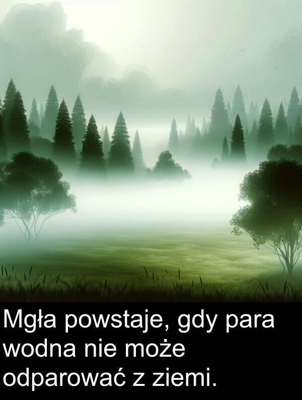 powstaje: Mgła powstaje, gdy para wodna nie może odparować z ziemi.