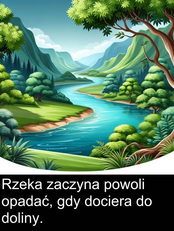 zaczyna: Rzeka zaczyna powoli opadać, gdy dociera do doliny.
