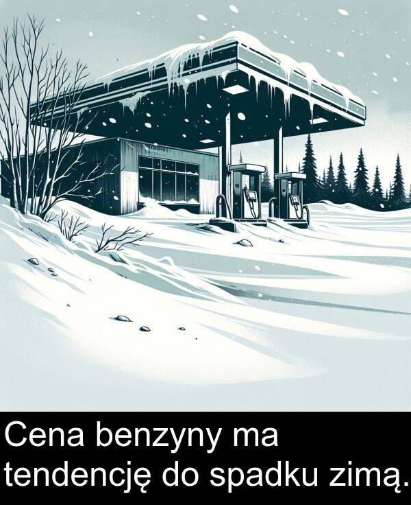zimą: Cena benzyny ma tendencję do spadku zimą.