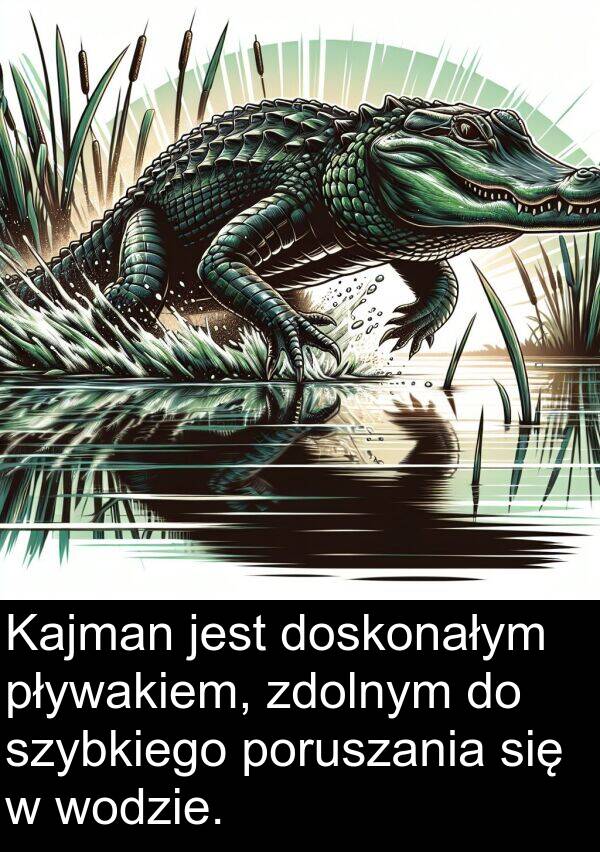 pływakiem: Kajman jest doskonałym pływakiem, zdolnym do szybkiego poruszania się w wodzie.