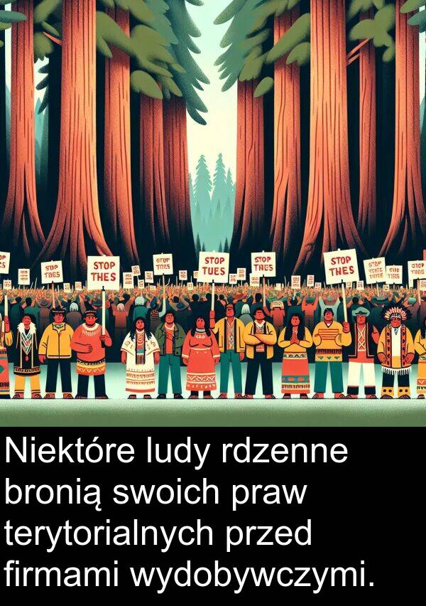 praw: Niektóre ludy rdzenne bronią swoich praw terytorialnych przed firmami wydobywczymi.