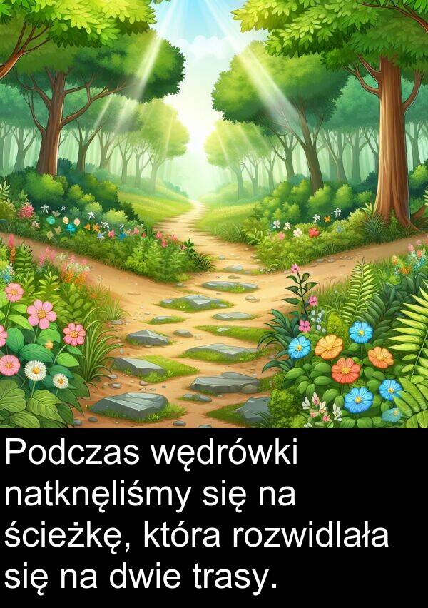 wędrówki: Podczas wędrówki natknęliśmy się na ścieżkę, która rozwidlała się na dwie trasy.