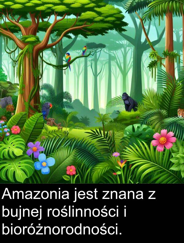 znana: Amazonia jest znana z bujnej roślinności i bioróżnorodności.