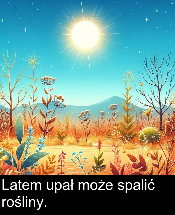 spalić: Latem upał może spalić rośliny.